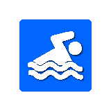 Large Pool Icon