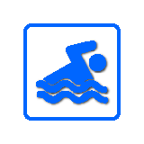 Small Pool Icon